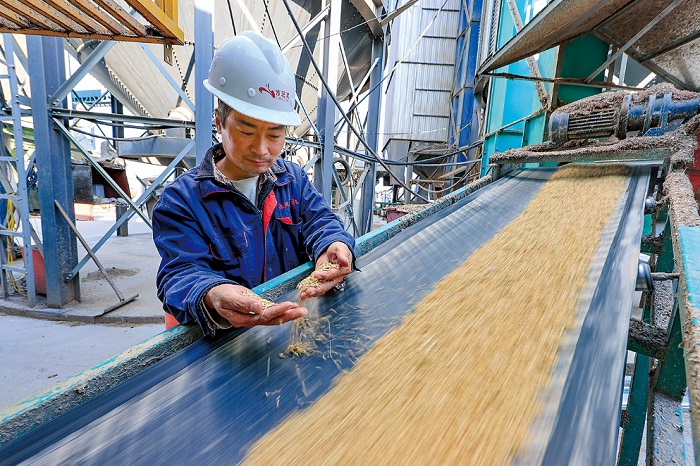 烘曬糧食 顆粒歸倉(cāng)2.jpg