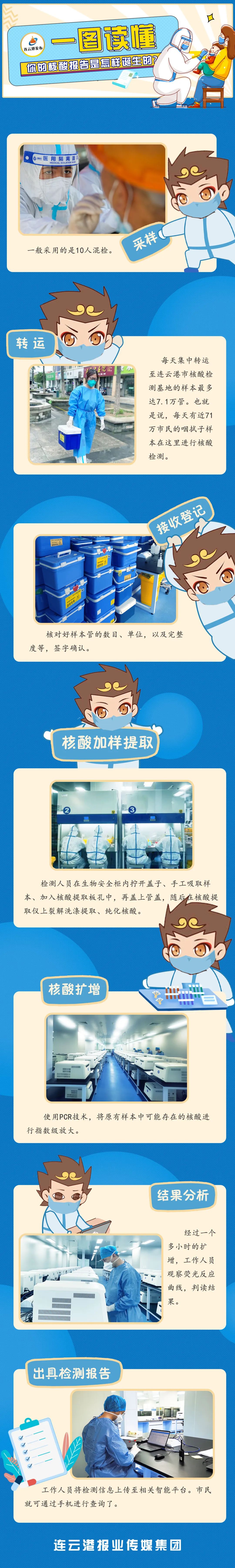 一圖讀懂你的核酸報告是如何誕生的.jpg